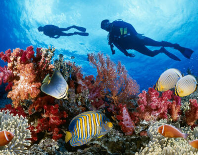 Things to Do in Varanasi